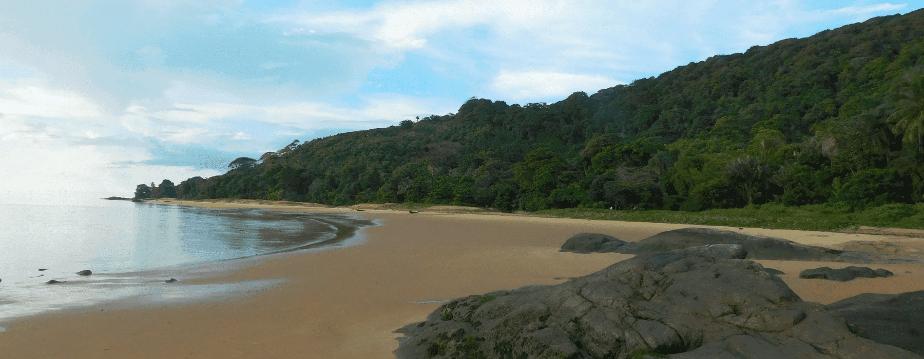 Guyane - expertise digitale