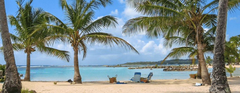 agence web en guadeloupe